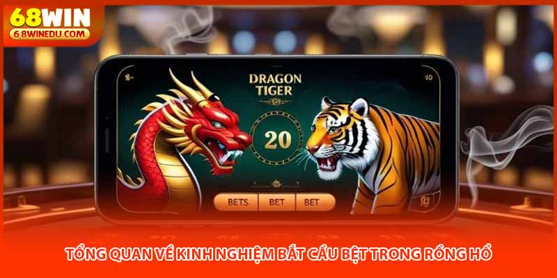 Tổng quan về kinh nghiệm bắt cầu bệt trong rồng hổ